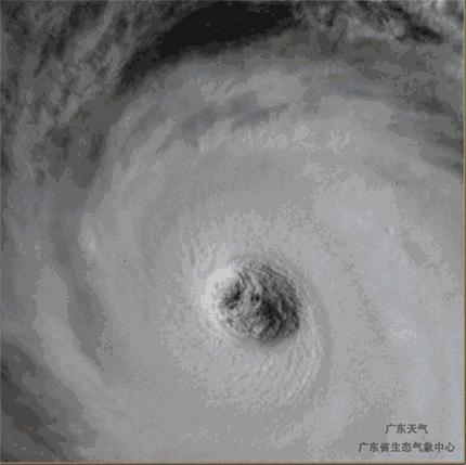 山竹登陆首日自救辟谣与全城戒备,风王山竹什么时候停运