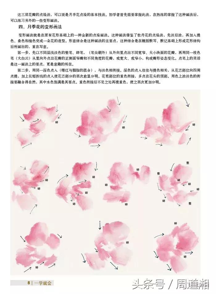 中国写意花鸟月季花篇,中国写意花鸟技法