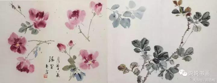 中国写意花鸟月季花篇,中国写意花鸟技法