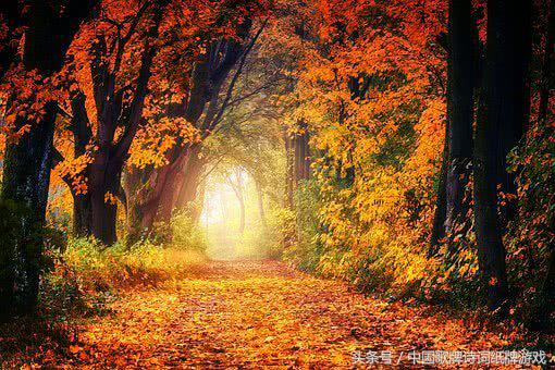 最经典伤感悲秋的10首古诗词,关于悲秋的诗句古诗词