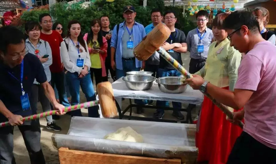 「关注」全国政务新媒体延边行：品足球文化看多彩风光赏特色民俗