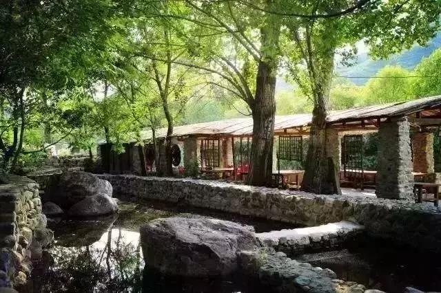 北京一棵树精品民宿,北京150家精品民宿大合集建议收藏