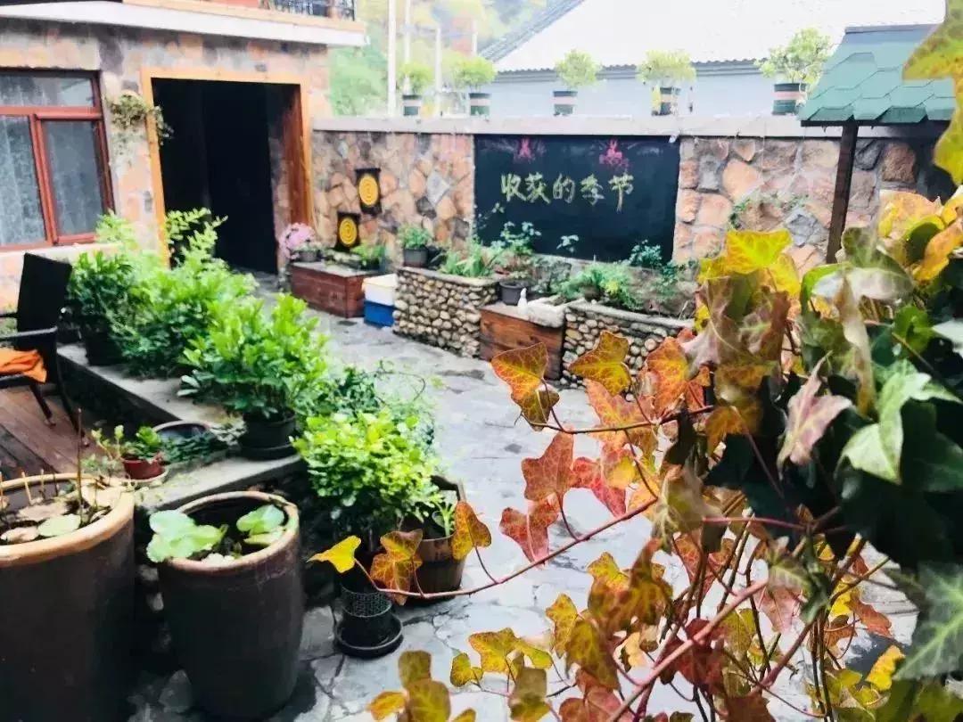 北京一棵树精品民宿,北京150家精品民宿大合集建议收藏