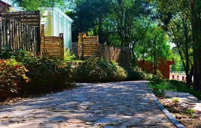 北京一棵树精品民宿,北京150家精品民宿大合集建议收藏