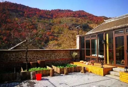 北京一棵树精品民宿,北京150家精品民宿大合集建议收藏