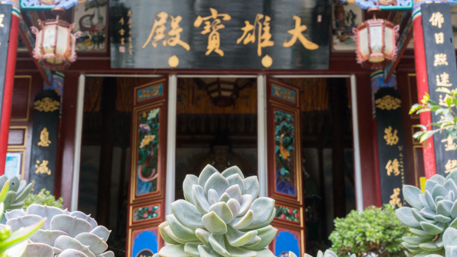 玩转云南大理攻略图片大全,大理玩转一周洱海攻略