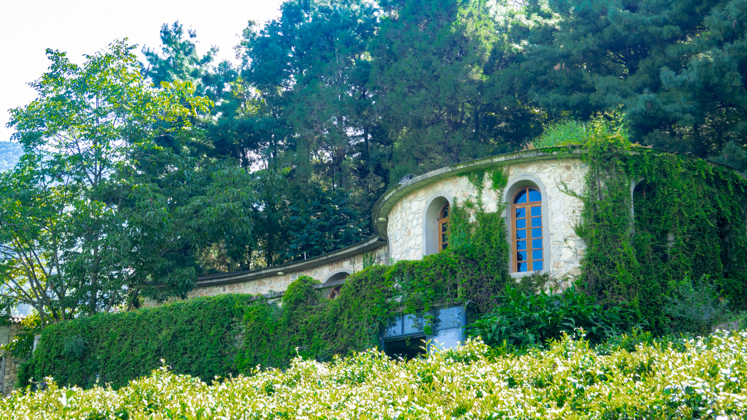 玩转云南大理攻略图片大全,大理玩转一周洱海攻略