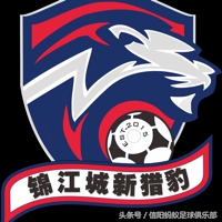 河南信阳蚂蚁足球,信阳蚂蚁足球赛事