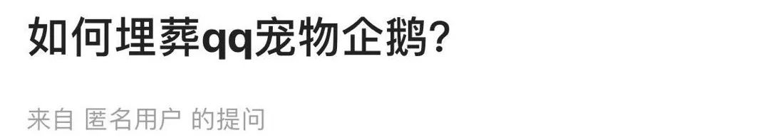 qq宠物停止运营,qq宠物停止运行赔偿