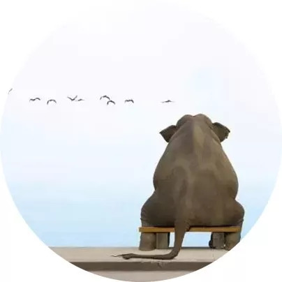 夜听好的感情彼此珍惜,夜听和谁一起真的很重要