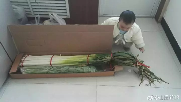 青岛特产蛤蜊干,青岛的啤酒和蛤蜊