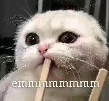 广西天气预报台风山竹,超强台风山竹登陆广西吗