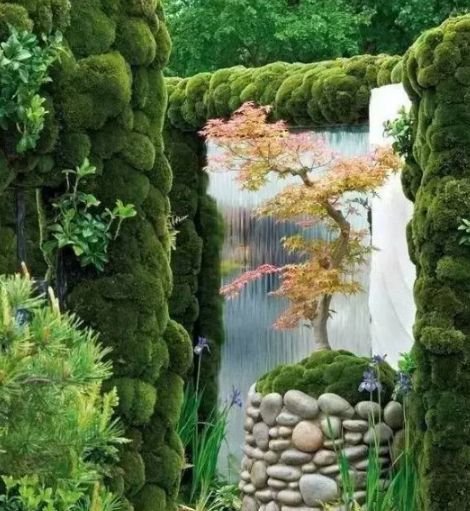 小小设计师绘本故事,小小建筑师绘本故事图片