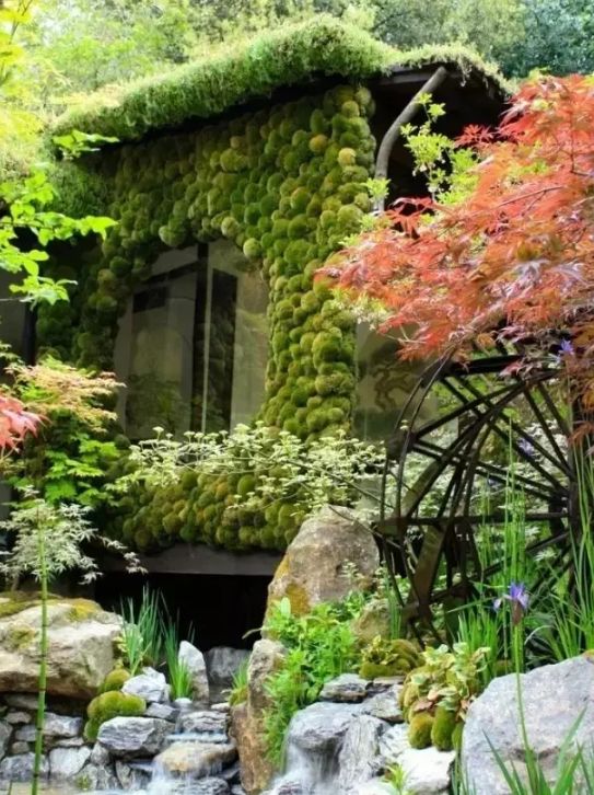 小小设计师绘本故事,小小建筑师绘本故事图片