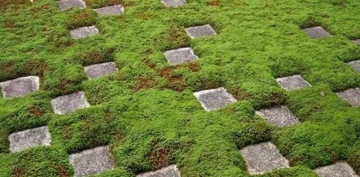 小小设计师绘本故事,小小建筑师绘本故事图片