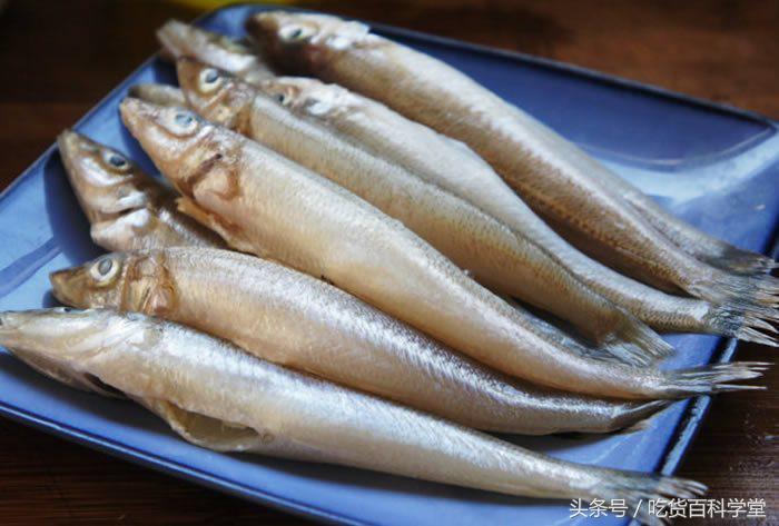 不带刺的小海鱼有哪些,无刺无鳞的小海鱼