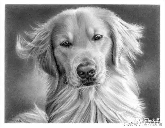 40幅精美素描图片,100张铅笔画图片