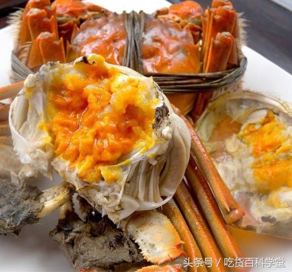 螃蟹公母分开养殖技术视频教程,麻辣螃蟹怎么选公母哪个好吃些