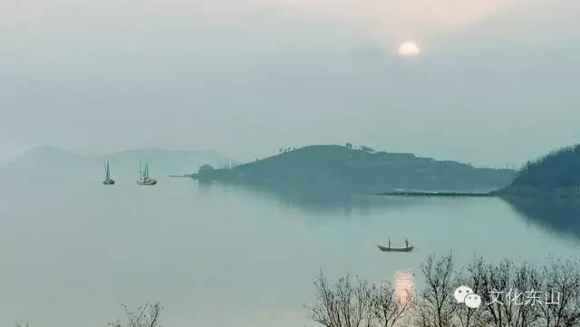 诗意东山|花间小坐夕阳迟