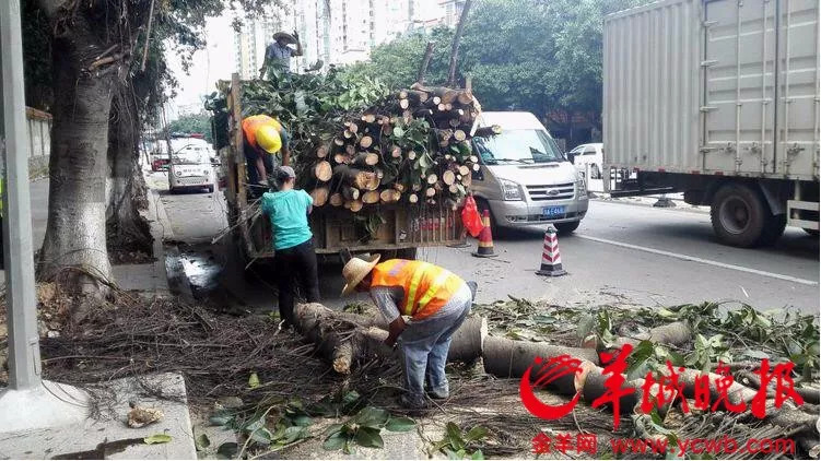 山竹登陆首日自救辟谣与全城戒备,风王山竹什么时候停运