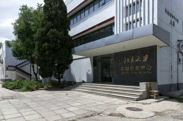 美丽中国北京大学版,美丽中国北京四合院
