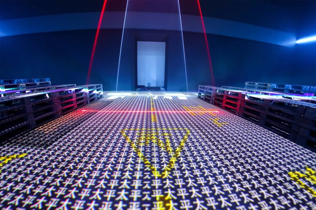 假笑男孩gavin蜥蜴,假笑男孩gavin