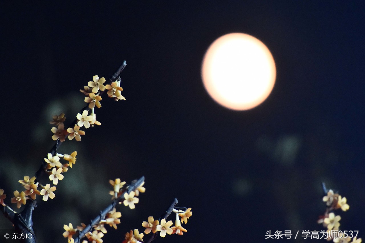 八上语文第3单元测试题答案,八年级上册语文第3单元检测试卷