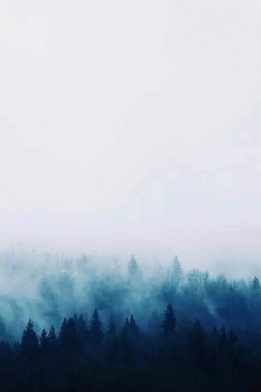 王维最美的20首诗：诗中有画，句句皆禅