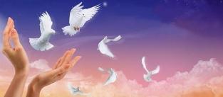 放生和不杀生也是布施吗,放生还是投食