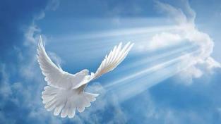 放生和不杀生也是布施吗,放生还是投食