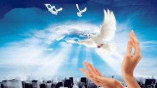 放生和不杀生也是布施吗,放生还是投食