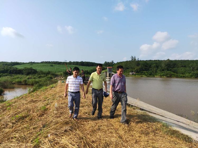 省防指再次会商部署台风工作,山竹台风灾情核查部署会