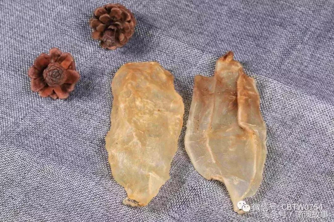 潮汕人为什么迷恋鱼胶,潮汕人的鱼胶有什么作用