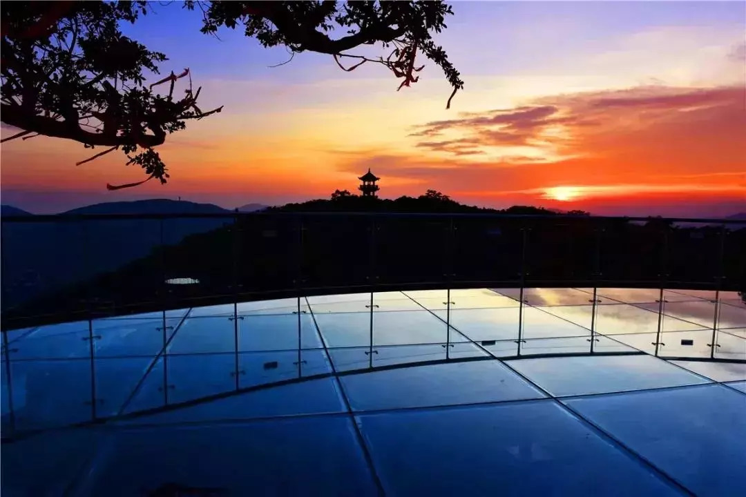 1200㎡透明泳池小红书点赞100w+,这家黄金海岸边的酒店才是海岛季首选