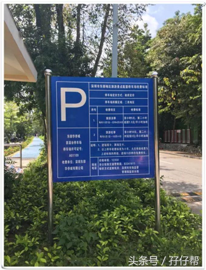 东部华侨城茶溪谷一日游,广东游记之深圳东部华侨城茶溪谷