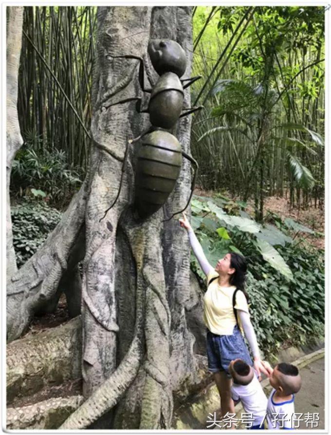 东部华侨城茶溪谷一日游,广东游记之深圳东部华侨城茶溪谷