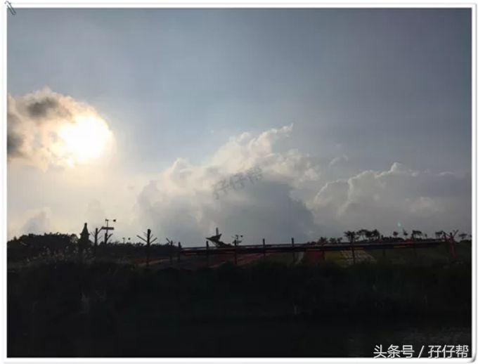 东部华侨城茶溪谷一日游,广东游记之深圳东部华侨城茶溪谷