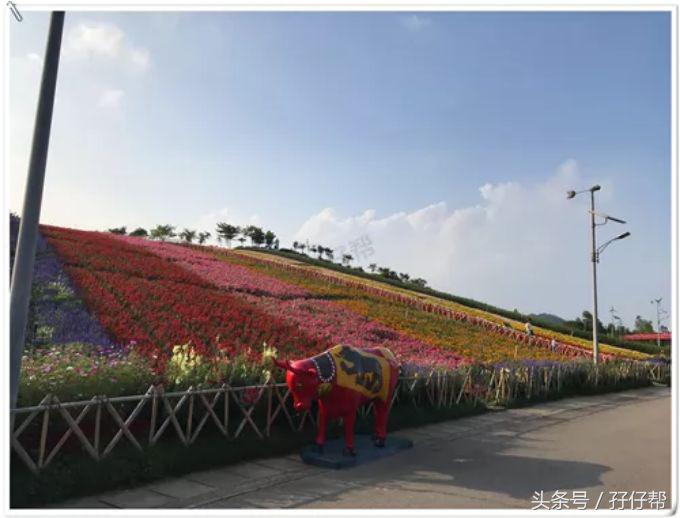 东部华侨城茶溪谷一日游,广东游记之深圳东部华侨城茶溪谷