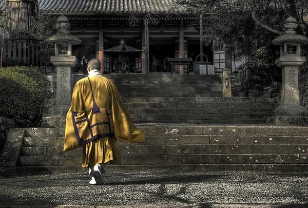 娼妓、屠宰、渔猎等人可以学佛吗？