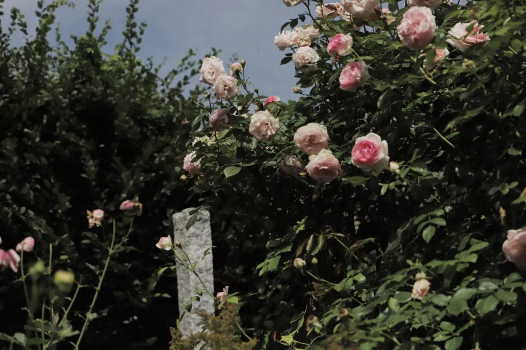 gapyear活出自己的精彩,gapyear要做的事