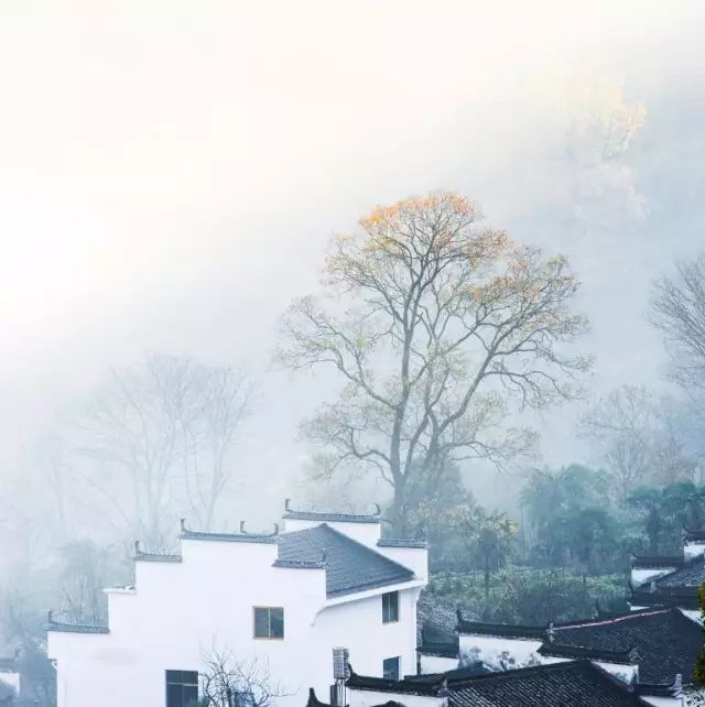 秋天的婺源篁岭,秋天的婺源有什么