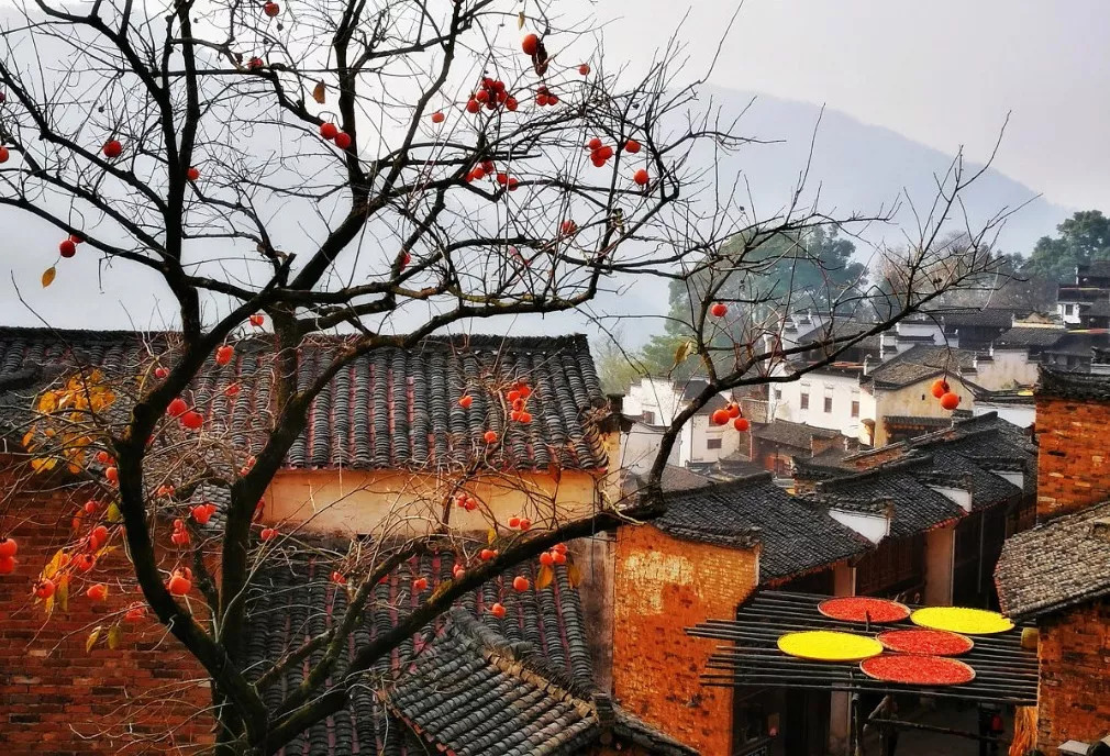 秋天的婺源篁岭,秋天的婺源有什么