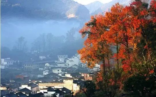 秋天的婺源篁岭,秋天的婺源有什么