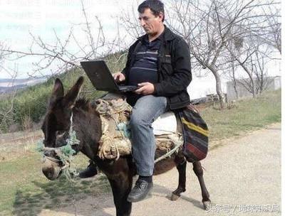 骑完骆驼再骑驴，真正的西域神兽是谁？地球知识局