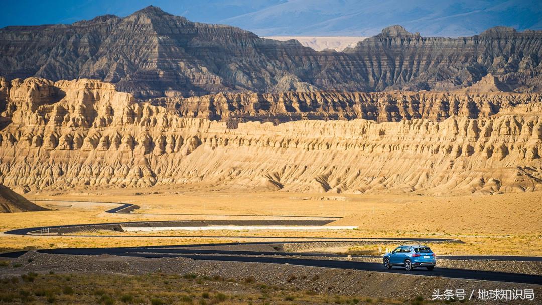 骑完骆驼再骑驴，真正的西域神兽是谁？地球知识局