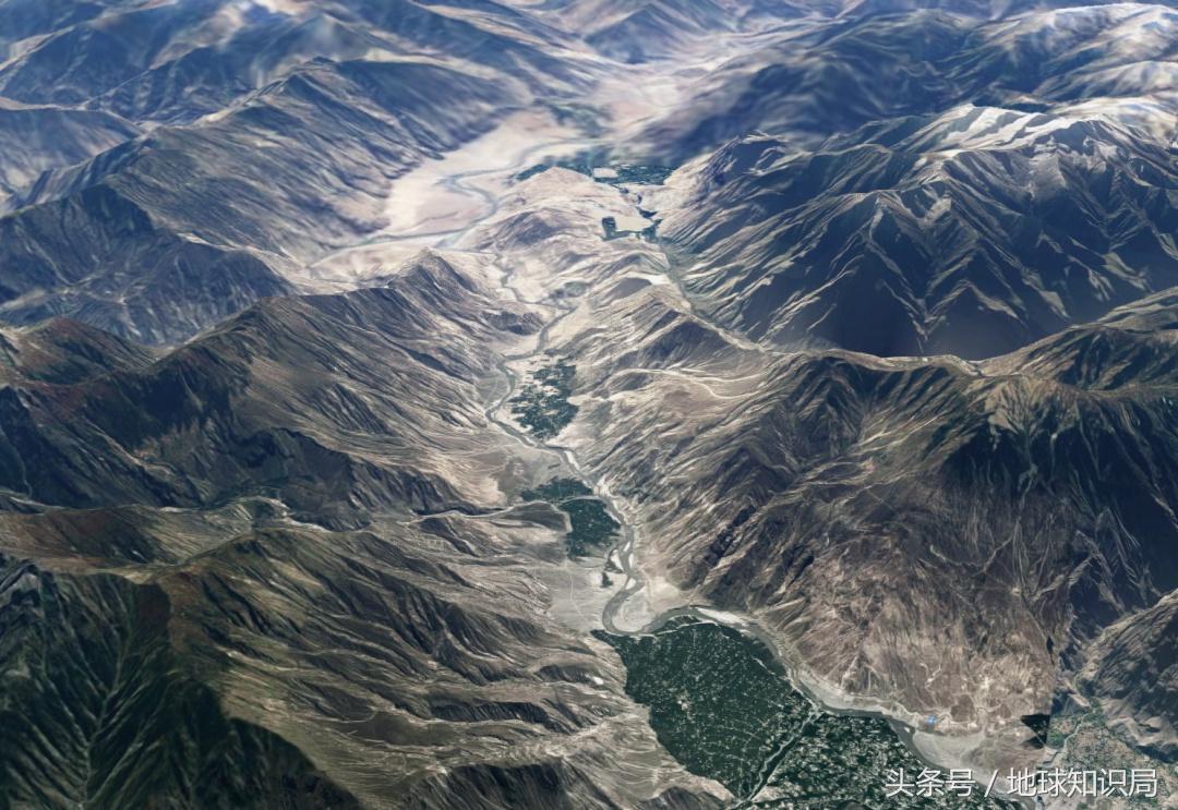 骑完骆驼再骑驴，真正的西域神兽是谁？地球知识局