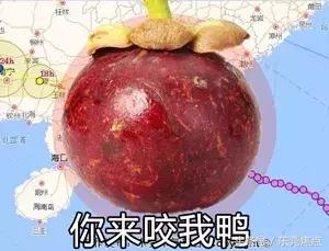 山竹现在情况怎么样,山竹最新消息东莞