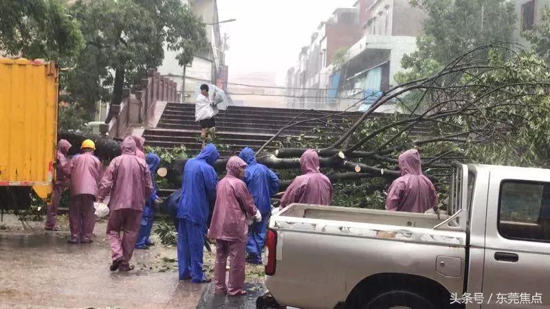 山竹现在情况怎么样,山竹最新消息东莞