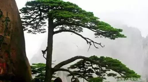 34个省区市符号完整版,34个省级行政区简单介绍