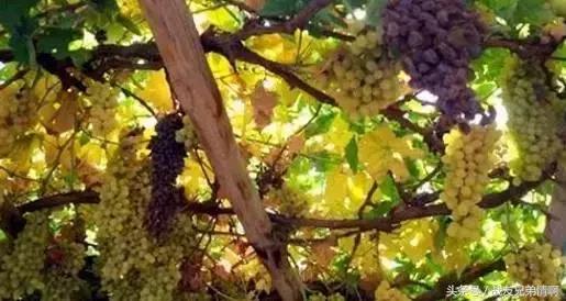 34个省区市符号完整版,34个省级行政区简单介绍